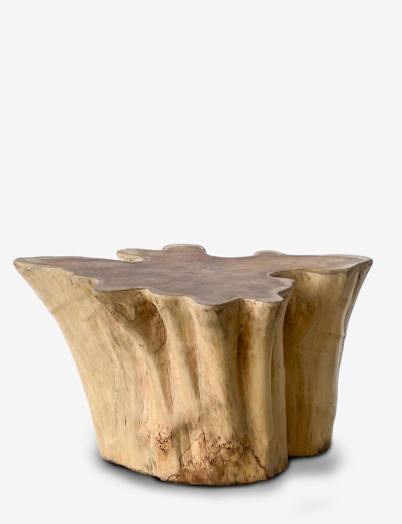 Teak Root Coffee Table