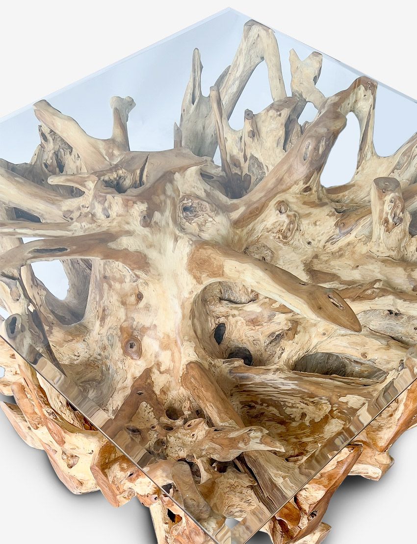 East Java Teak Root Coffee Table