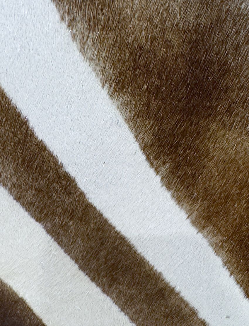 Buenos Aires Zebra Stencilled