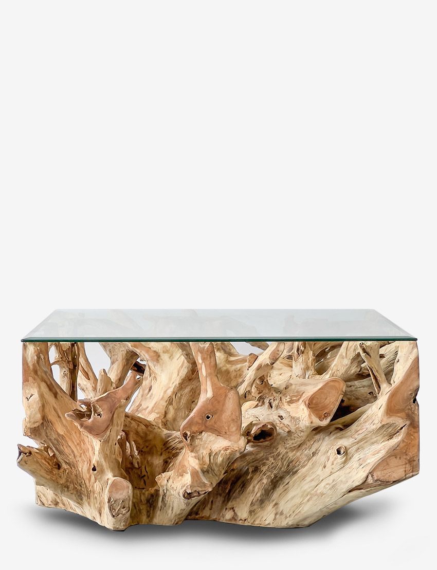 East Java Teak Root Coffee Table