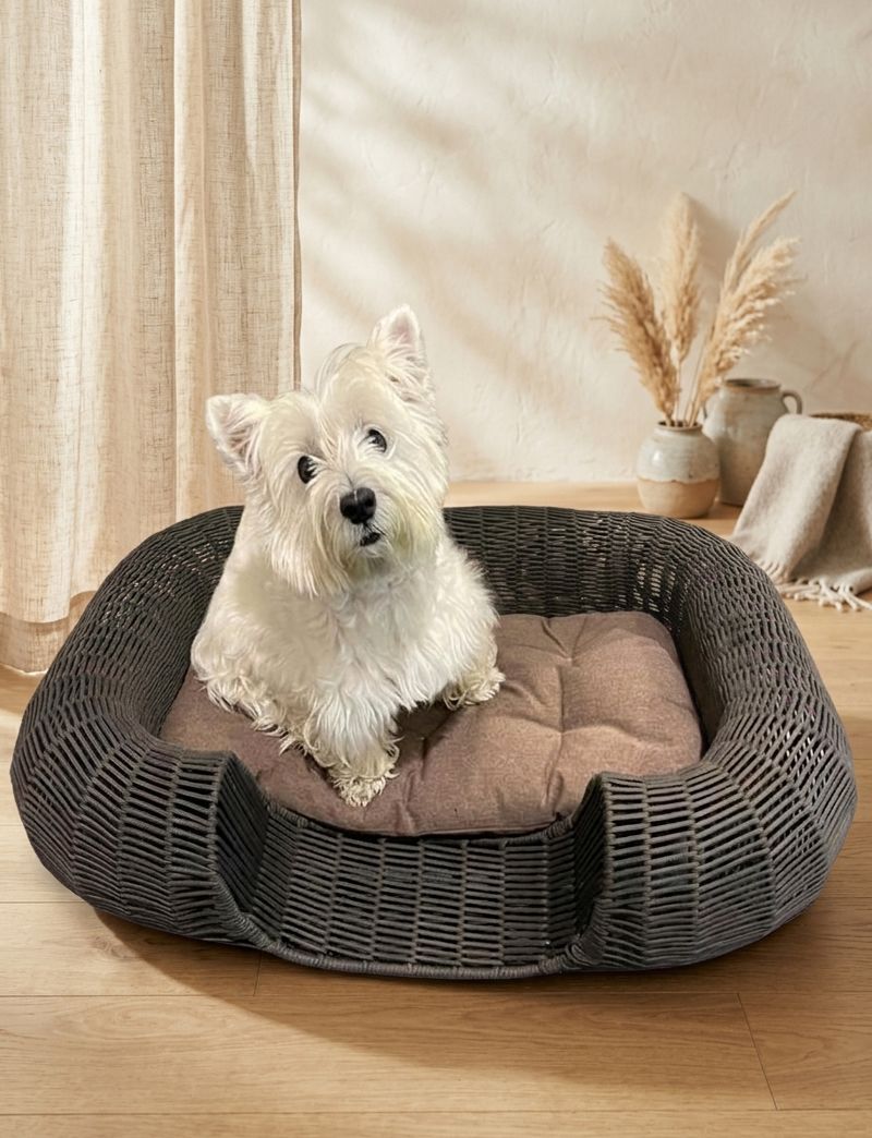 Seattle Dog Basket Stell And Rope