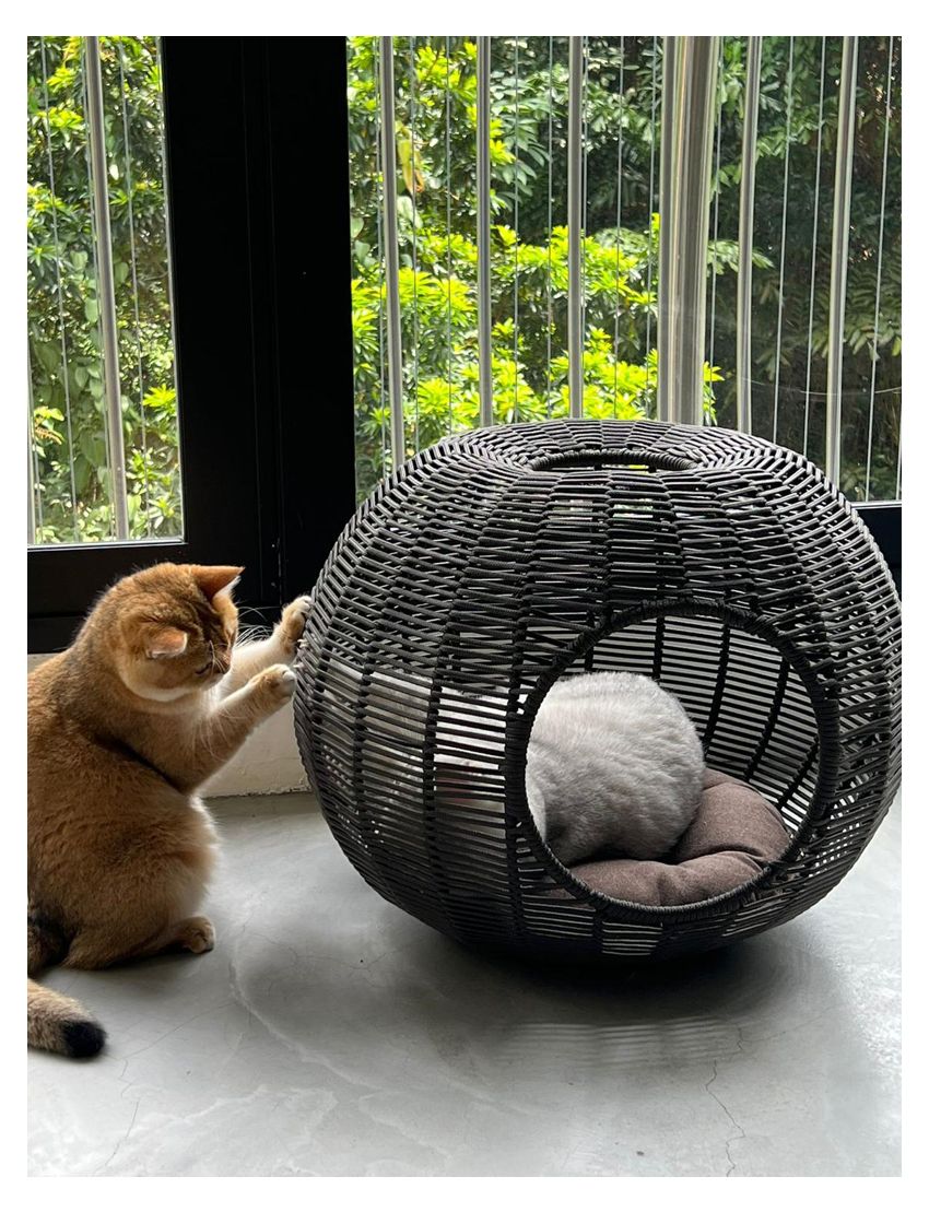 Istabul Cat Basket