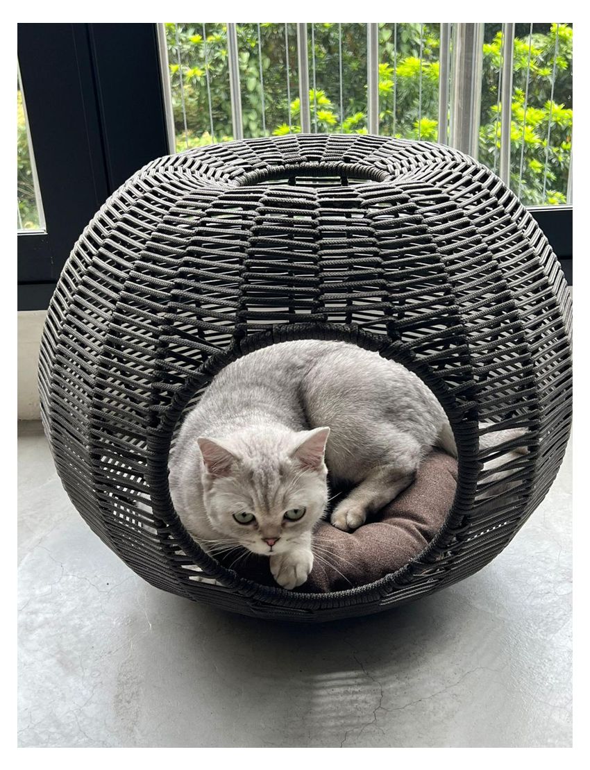 Istabul Cat Basket