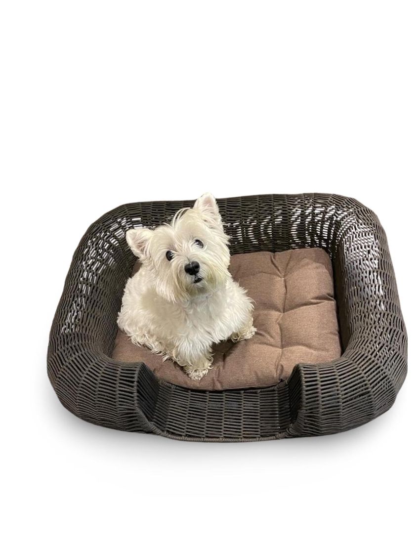 Seattle Dog Basket Stell And Rope