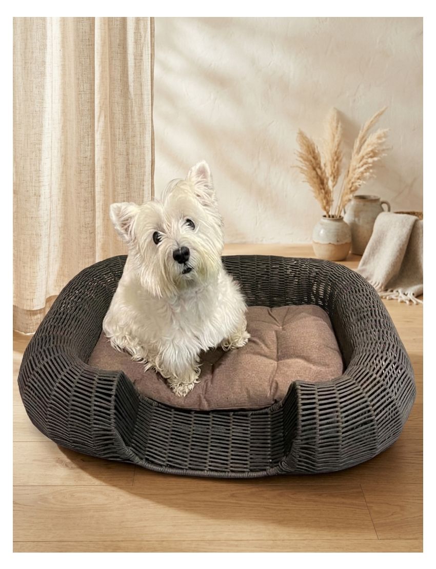 Seattle Dog Basket Stell And Rope