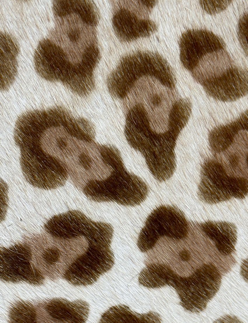 Buenos Aires Leopard Stencilled